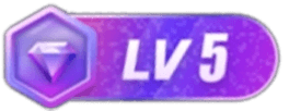 等级-LV5-IS充值【16】